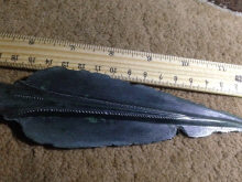 Бронзовый наконечник копья - культура Ноуа, Гава-Голиграды