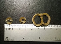 Древнерусская сбруйная пряжка и бляшки