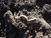 Обломок фибулы I века н.э