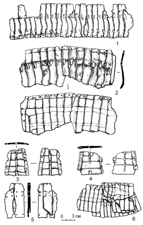 Реставрированные фрагменты панциря