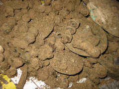 Клад снаряжения коня коммерийского времени 9-8 век до н. э.