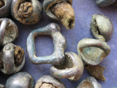 Остатки древней органики на бляшках