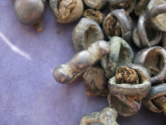 Остатки древней органики на бляшках