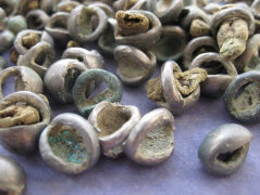 Остатки древней органики на бляшках