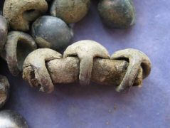 Остатки древней органики на бляшках