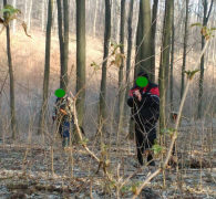 Поиск кладов