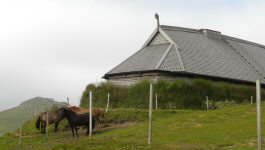 Не подалёку от дома, часть котрого занимает конюшня, пастся кони.