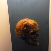 Череп из Остерби с прекрасно сохранившейся прической середине I столетия н. э.