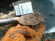 металлическая ложечка