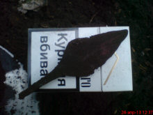 Наконечник стрелы ромбовидный вытянутый тип 39 по А.Ф. Медведеву 8-9 век.