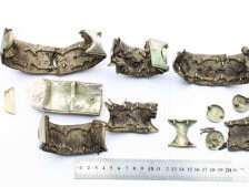 сегменты «Пшерворского пояса»