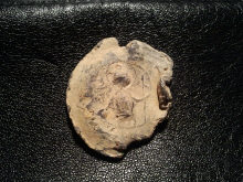 Вислая печать-пломба