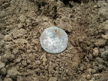 Монета периода царизма