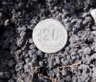 наконец то добрался до леса и потихоньку пошли находки