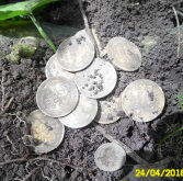 После нескольких одиночных монеток под деревом пошел цветной глубокий сигнал, вот что там оказалось.