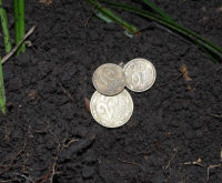 ну и куда же без копійок, три в одной ямке.