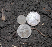 тоже вместе лежали