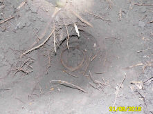 Вот пожалуйста. Все было в одной ямке, в семи метрах от предыдущей находки.