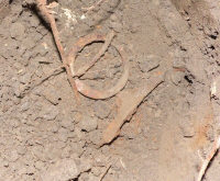 Уздечка, включая удила с псалиями, времен Киевской Руси, уже на поверхности