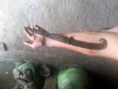 Большой скифский однолезвийный нож