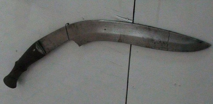 Ранний кукри без кауди