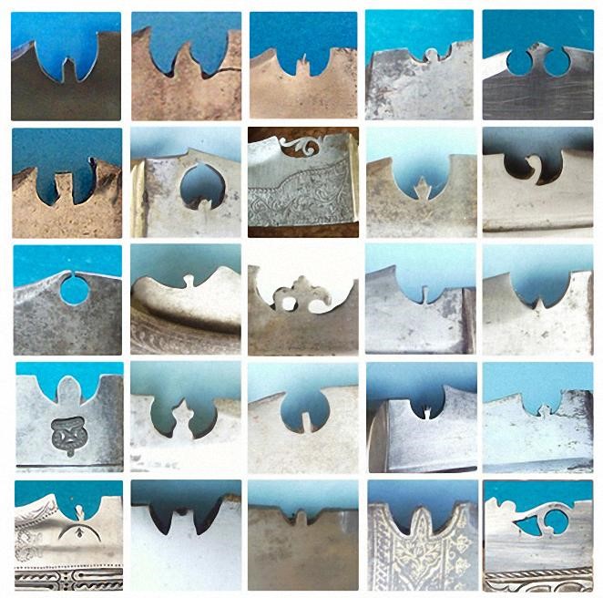 Разнообразие вом кауди