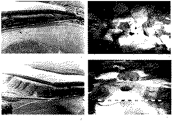 Фото. 1,2- Сидоровское Малое городище. Вид с востока. Фото. Сидорово. 3,4- помещение 3; горн 1.