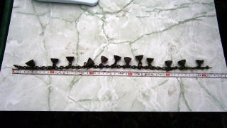 Погрудные колокольчики на цепи