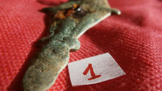 Ножка пальчатой фибулы