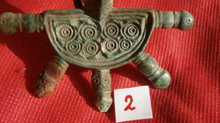 Щиток пятипалой фибулы