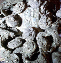 Находка серебряного шляхетского пояса 17 века