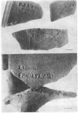 Амфорные клейма из тризны