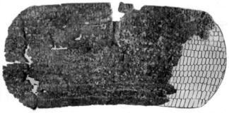 Чешуйчатый щит из погребения № 1 кургана у с. Красный Подол на Херсонщине