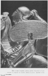 Гребень из кургана Солоха. Деталь: изображение щита всадника