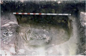 Сидоровское городище. Раскоп 7. Хоз. яма 1. Погребение.