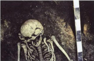 Сидоровское городище. Раскоп 5. Погребение 1. Деталь.