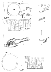 Сидоровское городище: 1 — раскоп 9, помещение 9; 2 — раскоп 9, фрагменты стеклянной посуды на полу помещения 10; 3 — раскоп 5, помещение 1; 4 — скопление астрагалов в раскопе 9 (квадрат 0-1); 5 — раскоп 5, хозяйственная яма 2.