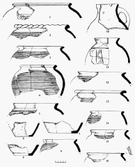 Сидоровское городище. Раскоп 6. Фрагменты горшков: 1, 4, 12 — пом. 5. дно; 2-3, 5-9, 13-16 — пом. 5; 10 — слой; 11 -хоз. яма 1.