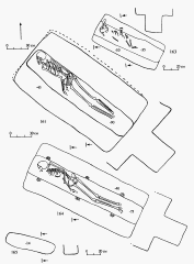 Сидоровский археологический комплекс. Могильник 1. Раскоп И. Чертежи погребений №№ 161, 163, 164, 165.