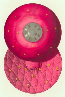 Ф.Г. Солнцев. Акварель «Щит деревянный, обтянутый камкой».