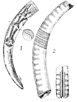 Серпы из Бискупина и Старгарда