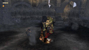 Арагорн не выдерживат троллинга