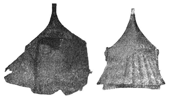 Бацинет Торунь