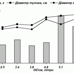 Соотношение размеров, объема и веса.