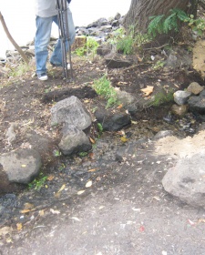 День города Новая Каховка,  22 сентября