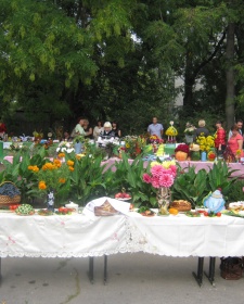 День города Новая Каховка,  22 сентября