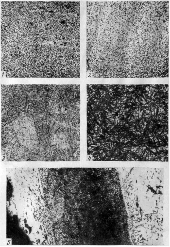 Техника кузнечного производства у восточных славян в VIII-X вв