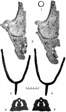 Киевский некрополь-II. Инвентарь погребения № 118