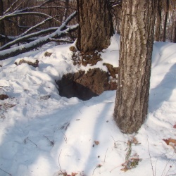 Объект в момент передачи