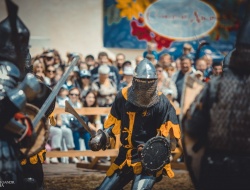 Фестиваль исторической реконструкции «Стара фортеця»